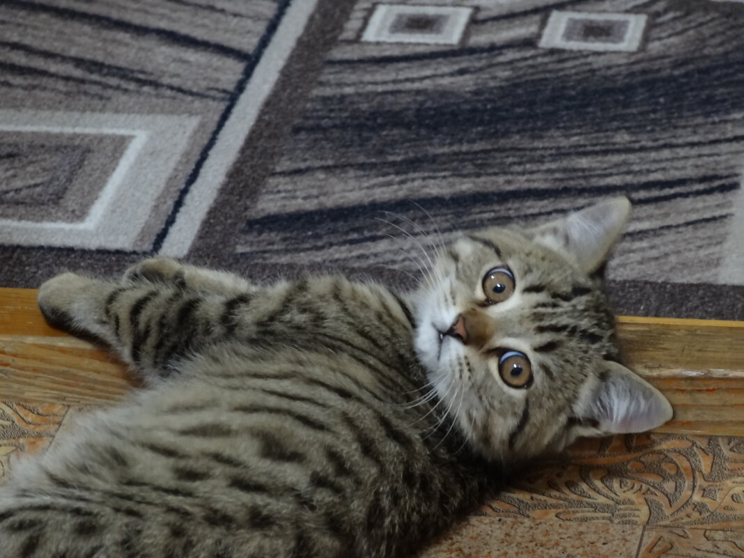 МУРЗИК - СЕРГЕЙ ФИЛОЧКИН