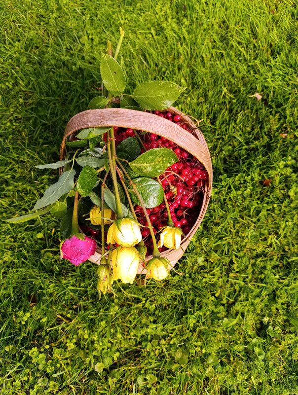 Зеленое, желтое, красное. - tatiana 