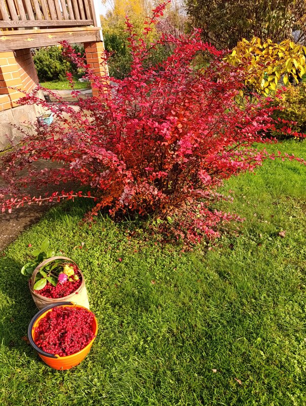 Вдруг выглянуло солнце. - tatiana 