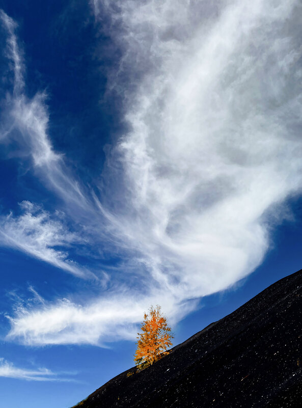 .... - александр 