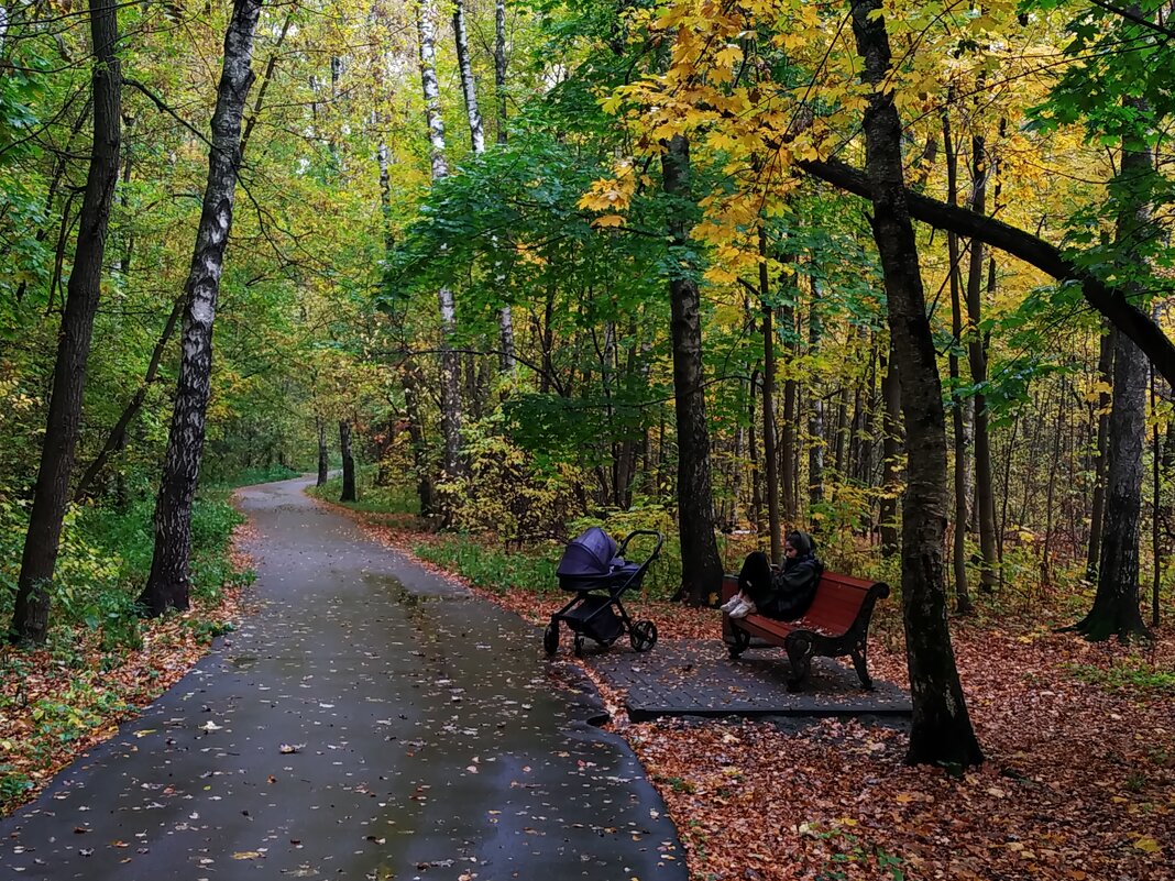 Осень года и весна жизни - Андрей Лукьянов Осень года и весна жизни - Андрей Лукьянов