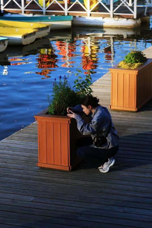 Фотографиня - Roman stories -