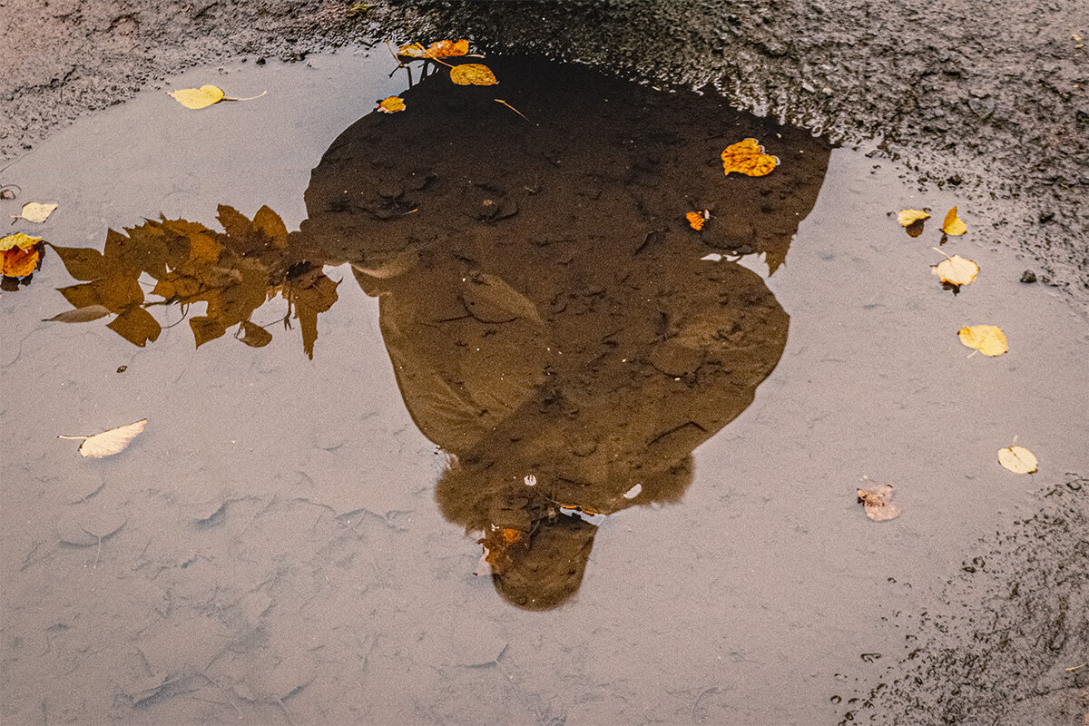 Отражении осеннее - Светлана Никитина