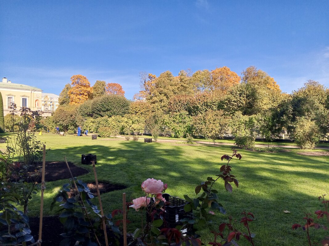 Осень - Сапсан 