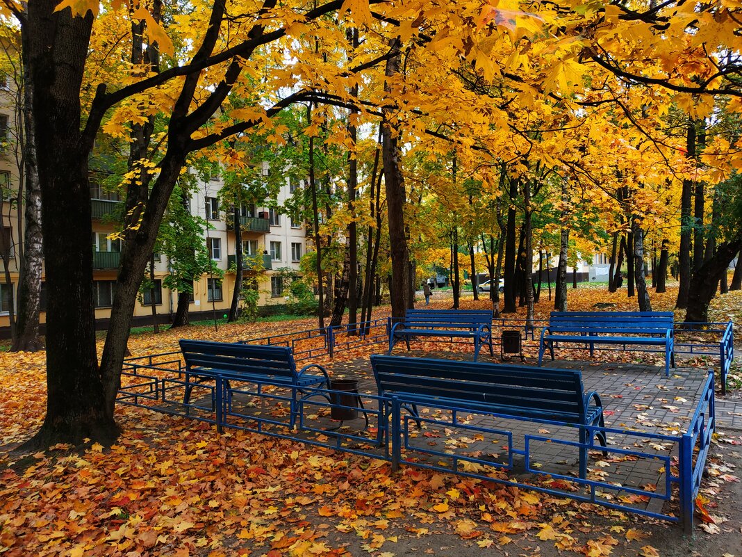 Золотая пора в городе - Андрей Лукьянов