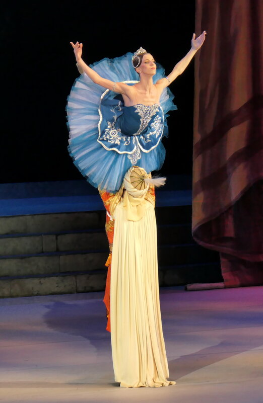 Раймонда - Валерий Судачок