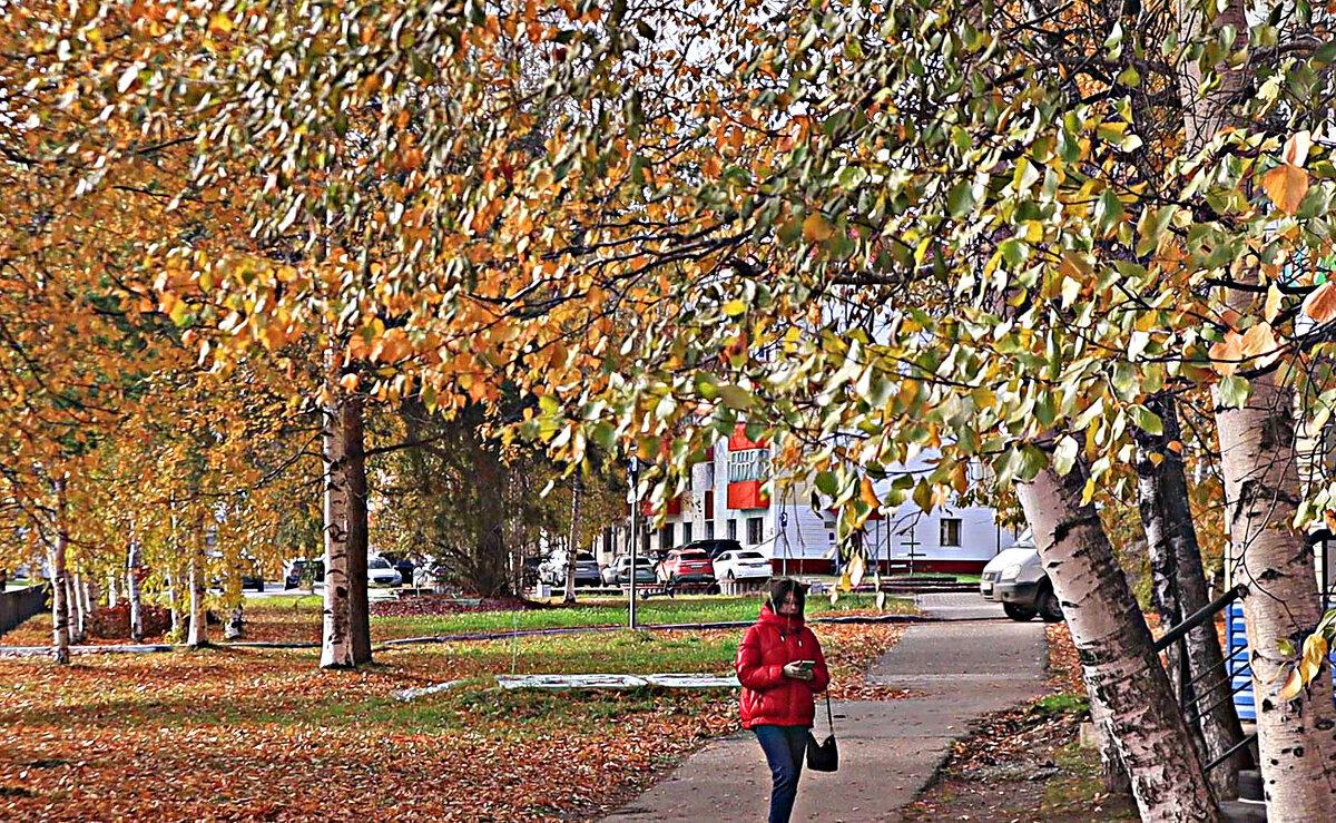 Октябрь...Осень золотая! - Владимир 