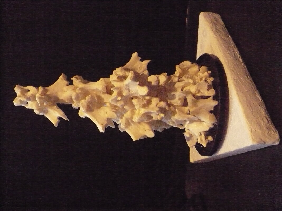 "СТАЯ"  (костная пластика) - Валерий Кокорев