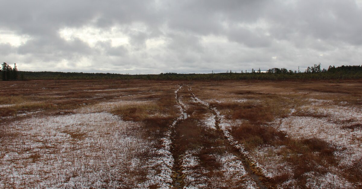 Нарымские болота-4 - Сергей Никифоров