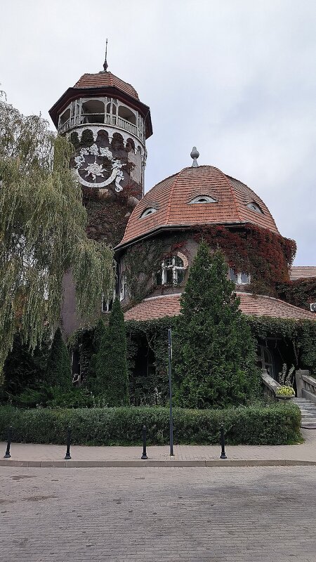 Светлогорск. Грязе-водолечебница. - Ольга 