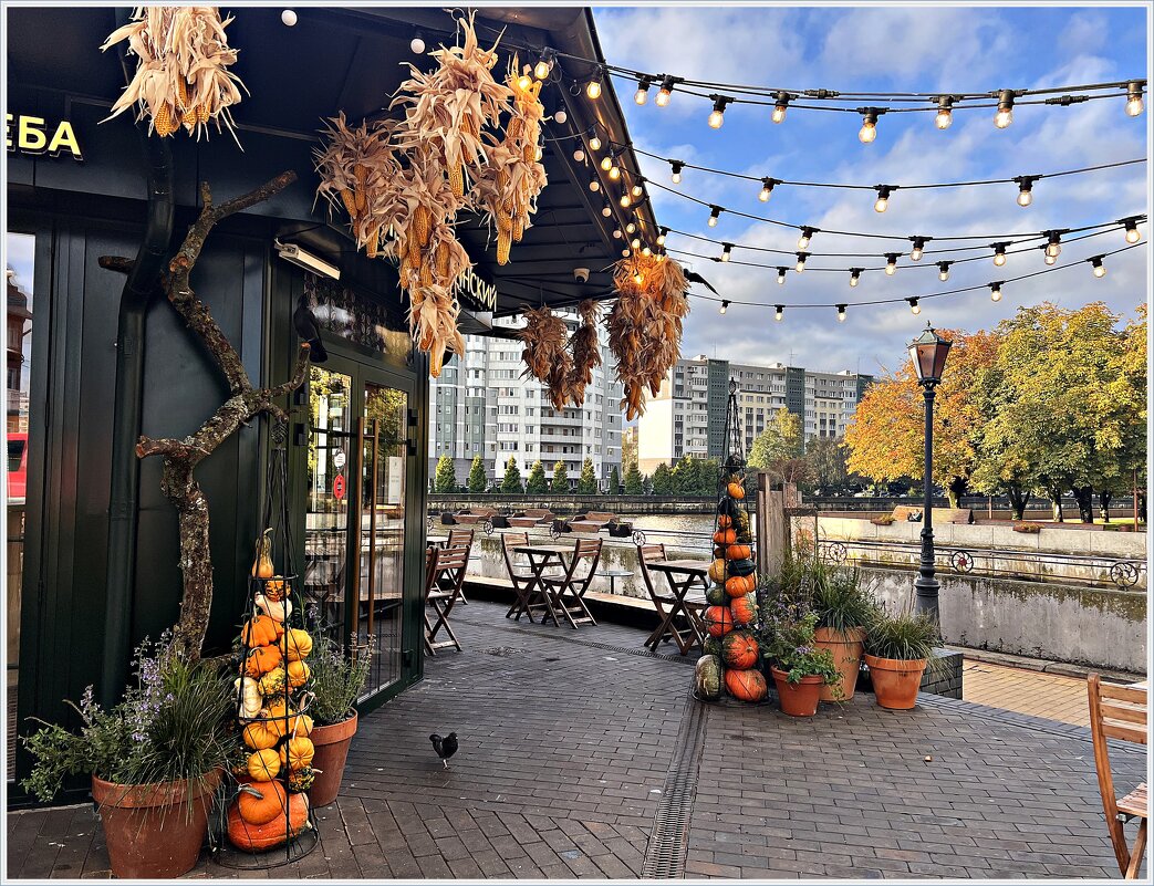 Калининград. Осень. - Валерия Комова