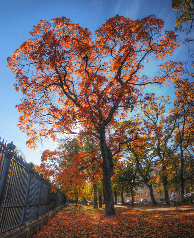 *** - Сергей Григорьев