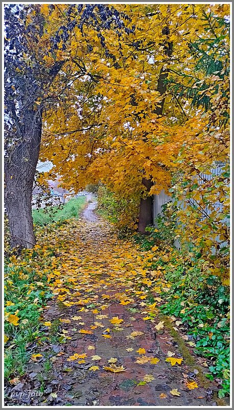 Листопад - Владимир Попов Листопад - Владимир Попов
