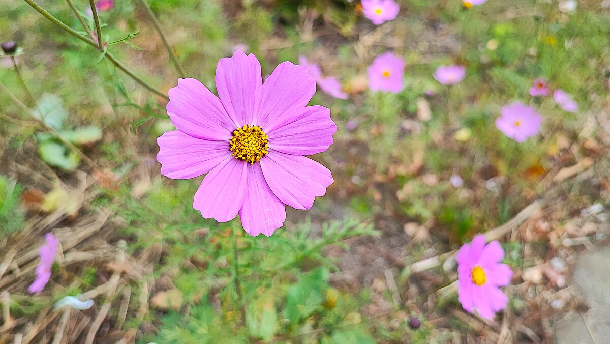 ,,, - Сергей Тимоновский