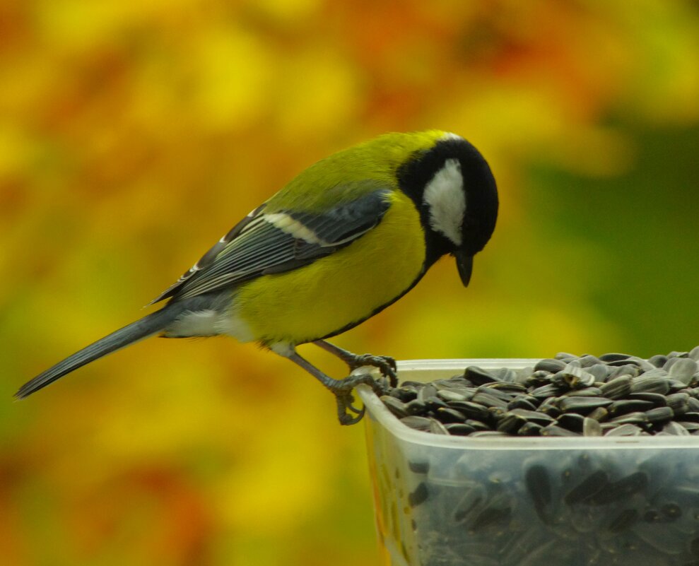 Есть над чем задуматься... - Юрий Куликов