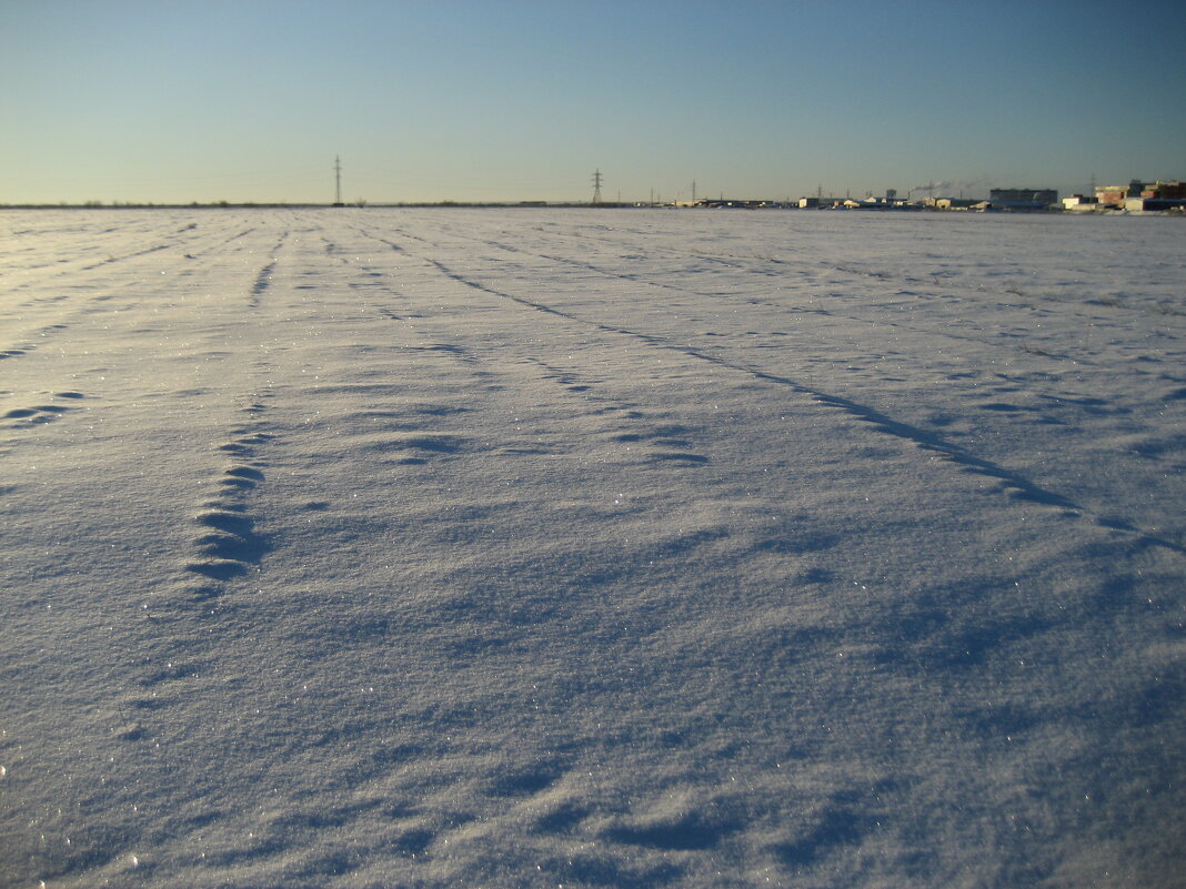 Поле - Anna Ivanova