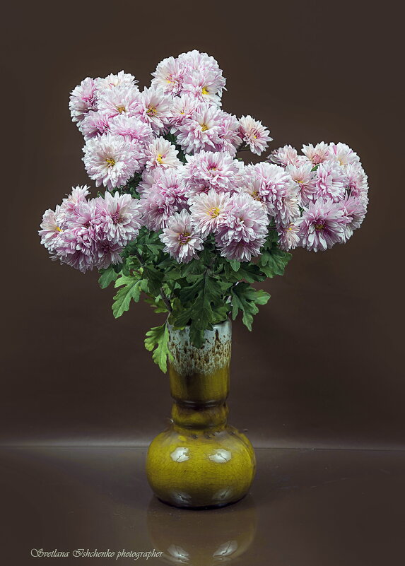 Хризантемы - Светлана Ищенко