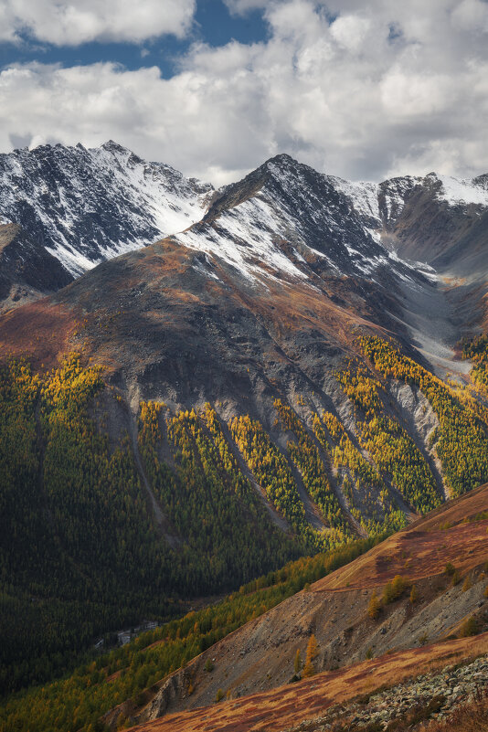 * - Александр Иванов