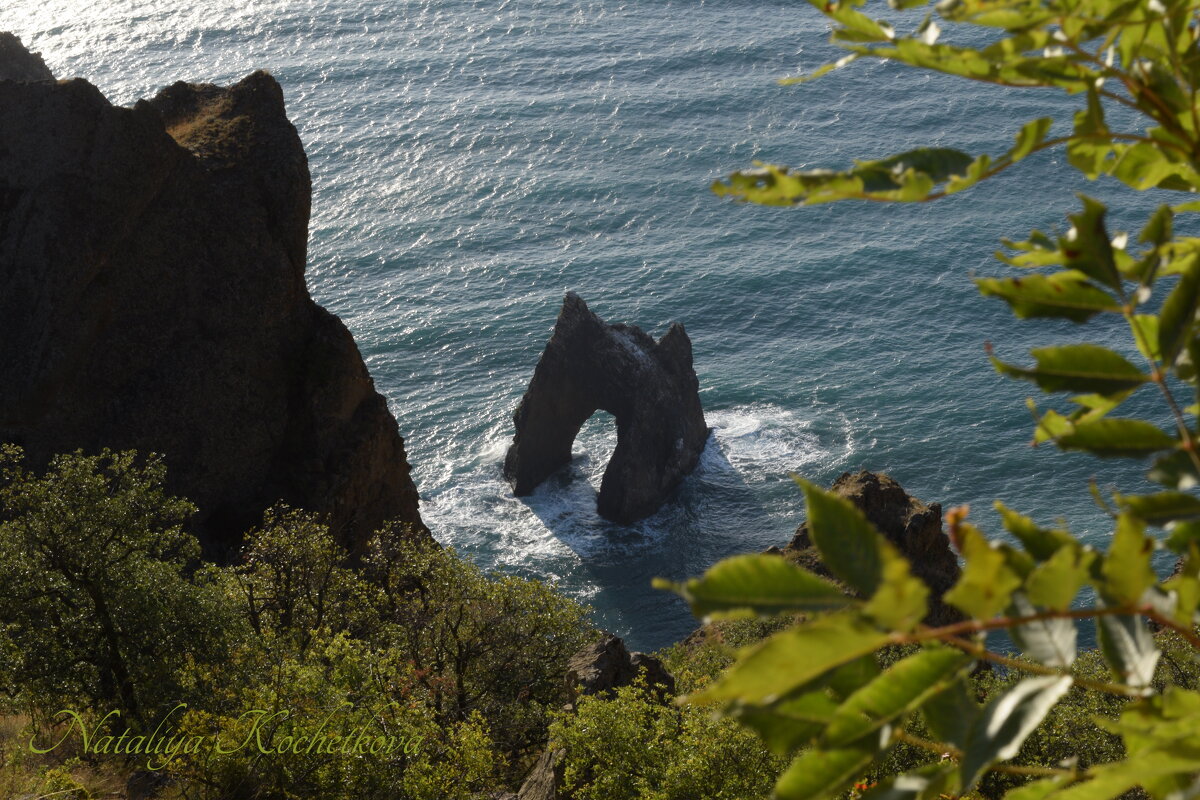 Природа Крыма - Amazing Cosmea