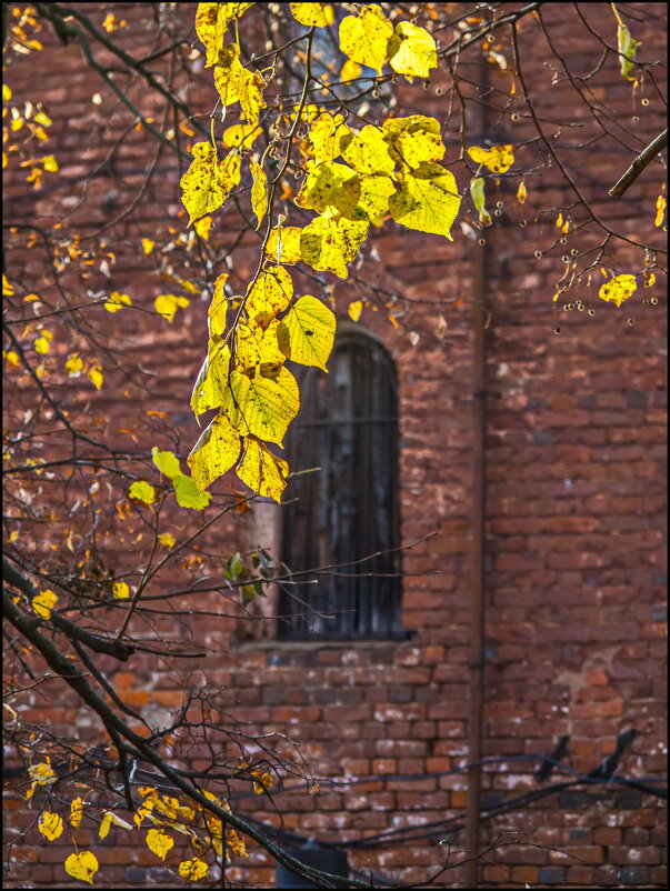 Свет осенний - Наталья Rosenwasser