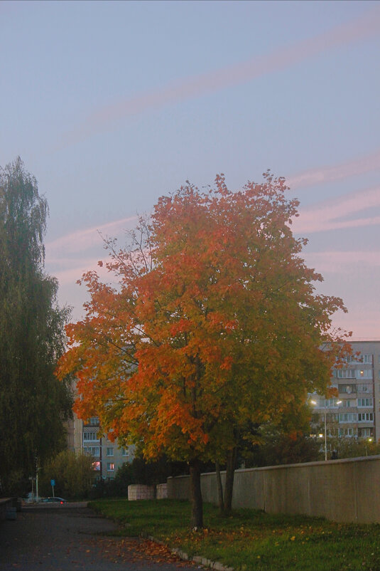 Осенний вечер - Сергей Кочнев