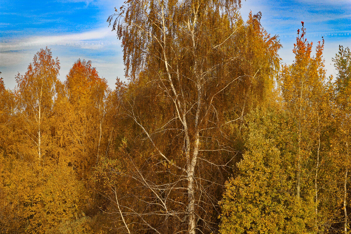 Октябрь - краснов юрий 