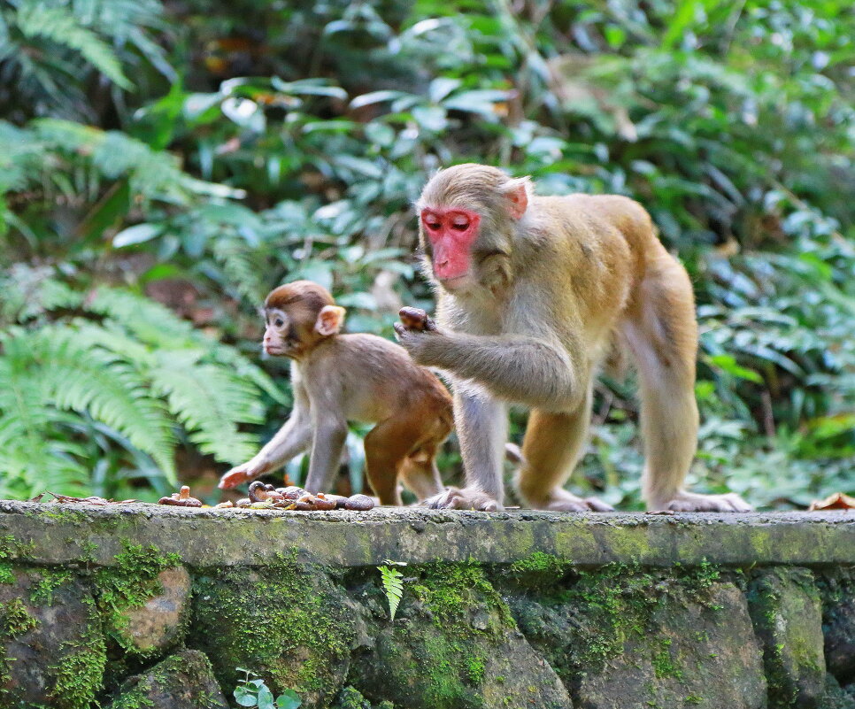 Щас позвоню ... - Andrey Bragin 