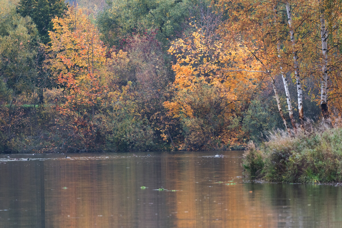 *** - Владимир Безбородов