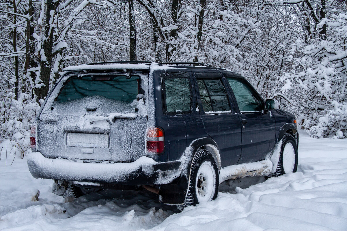 Следорыт - Владимир Иванович