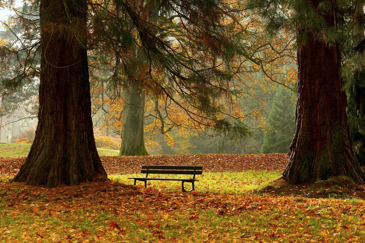 Осенняя скамека - Юрий. Шмаков