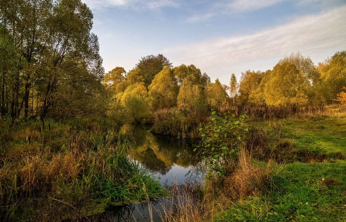 Осеннее утро - Андрей Дворников