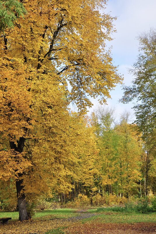 Осенний парк - Александр Конов