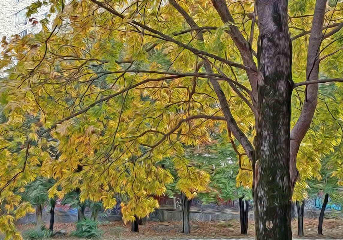 В городе - осень... - Валентина Нефёдова В городе - осень... - Валентина Нефёдова