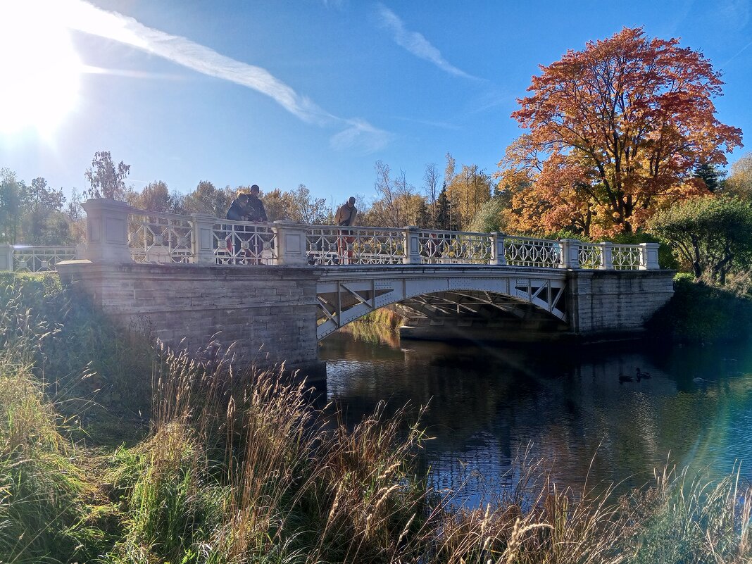 Осень - Сапсан 