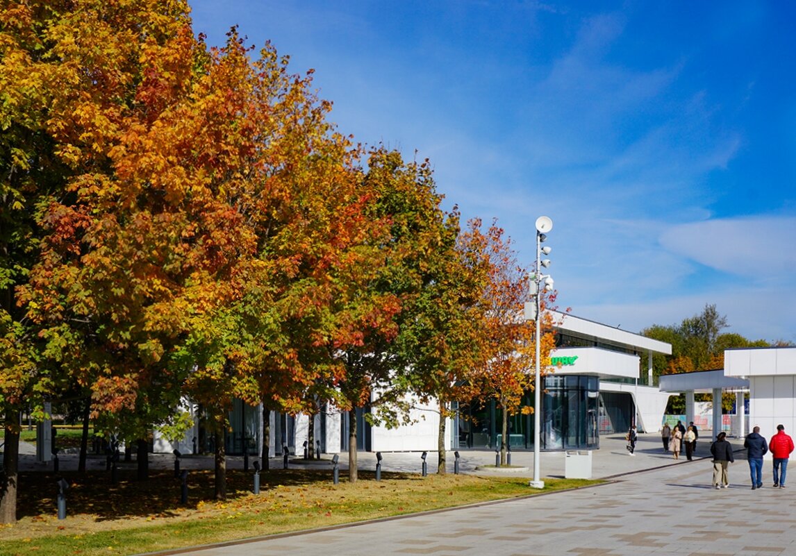 Краски осени - Ольга 