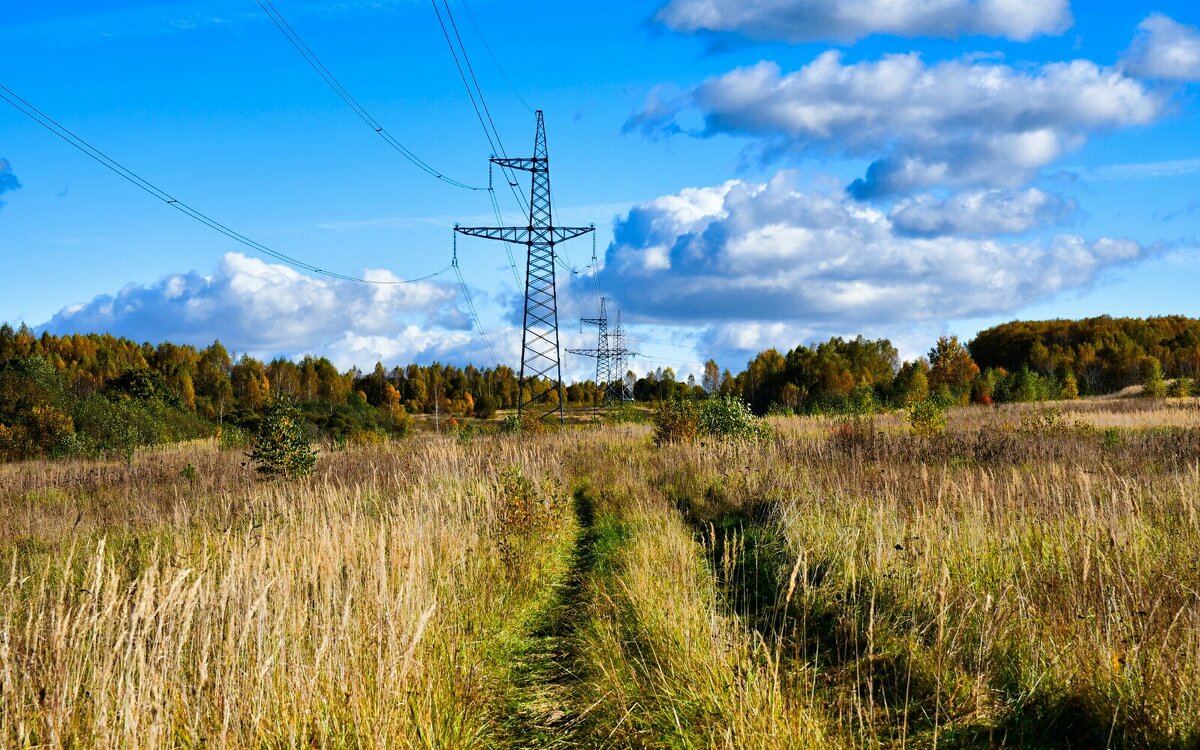 Электрофикация всей страны. - Милешкин Владимир Алексеевич 