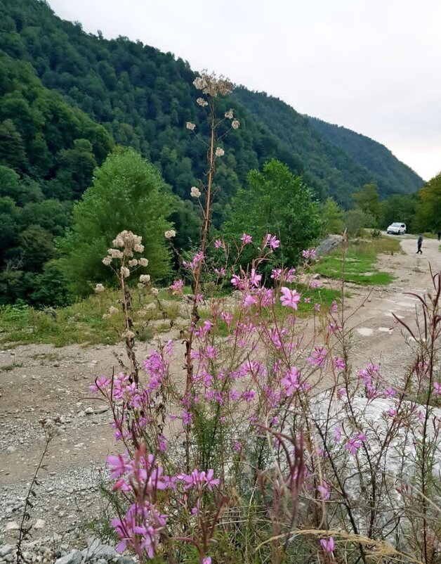 На границе с Абхазией - Tata Wolf