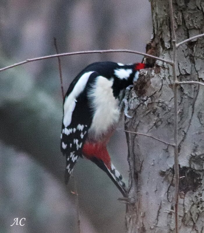 Нашёл то, что искал! - Любовь Сахарова