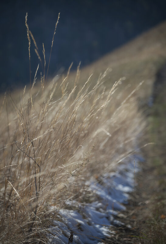 * - Александр Иванов
