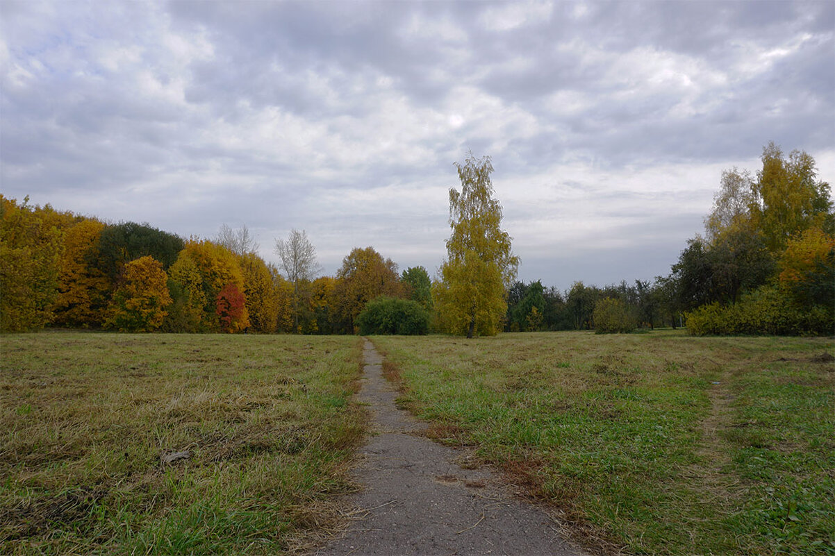 Левитановский пейзаж - Лариса Корж Левитановский пейзаж - Лариса Корж