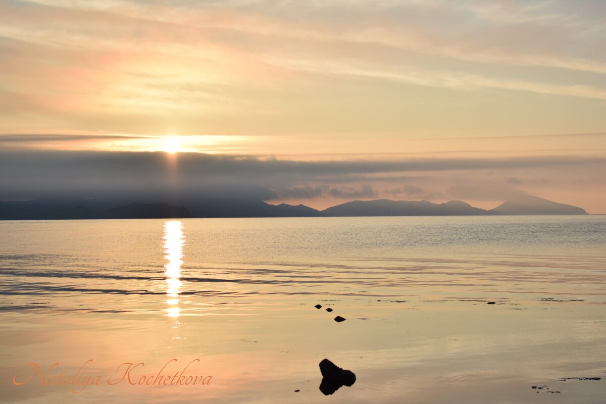 Природа Крыма - Amazing Cosmea