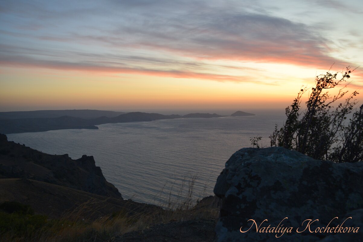 Природа Крыма - Amazing Cosmea