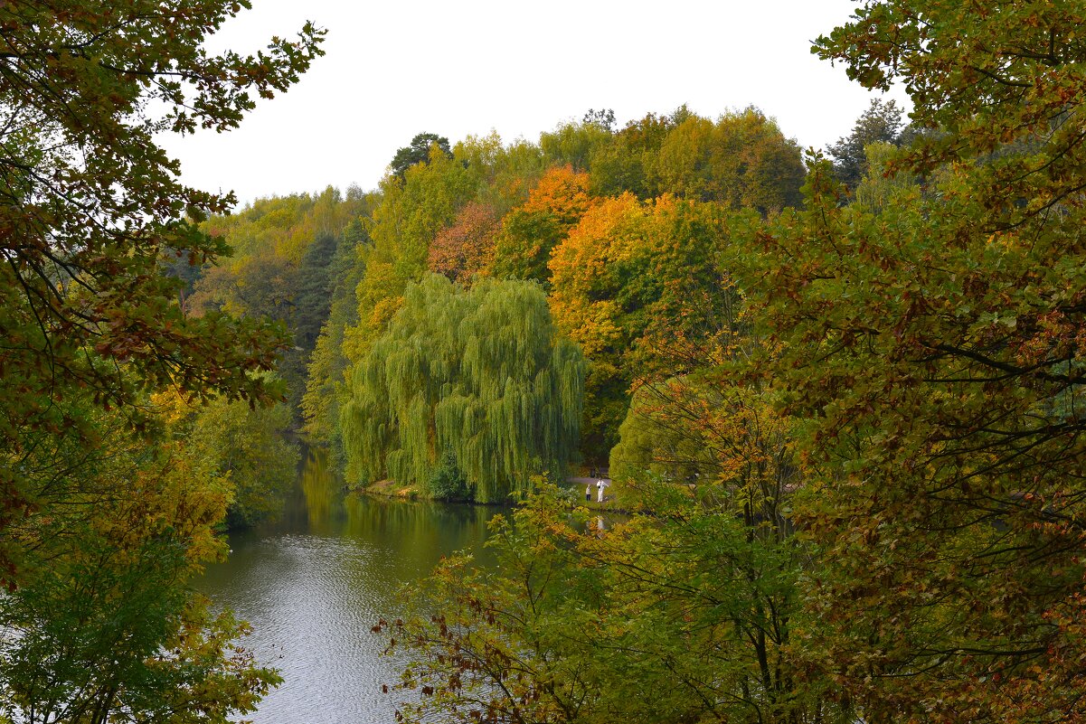 Осень в усадьбе Царицыно - Константин Анисимов