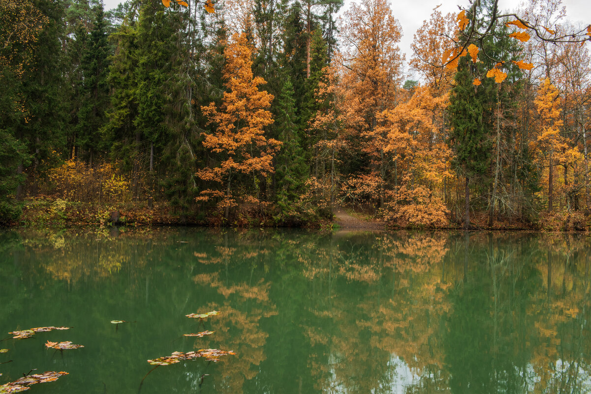 Немного золота и меди. - Николай Немного золота и меди. - Николай