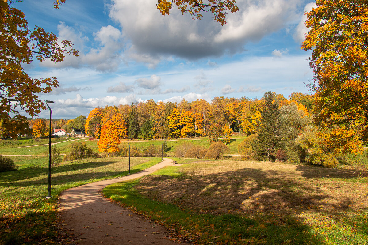 *** - Геннадий Порохов