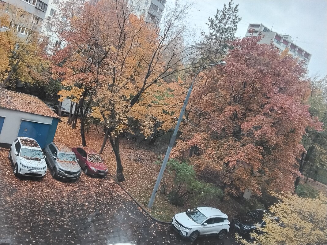 Осеннее утро - Дмитрий Никитин