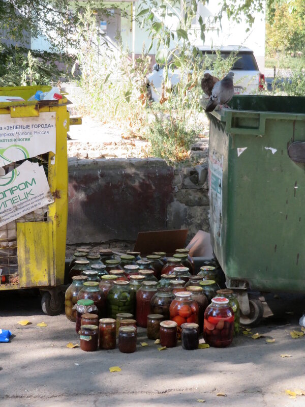 "Сезон заготовок завершён!" - Егор Бабанов