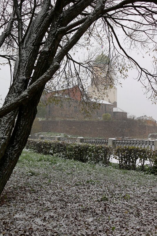 Первый снег в Выборге - Ольга 