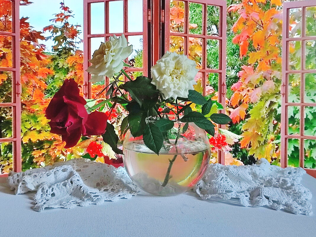 Розы моего сада - Валентина Богатко 