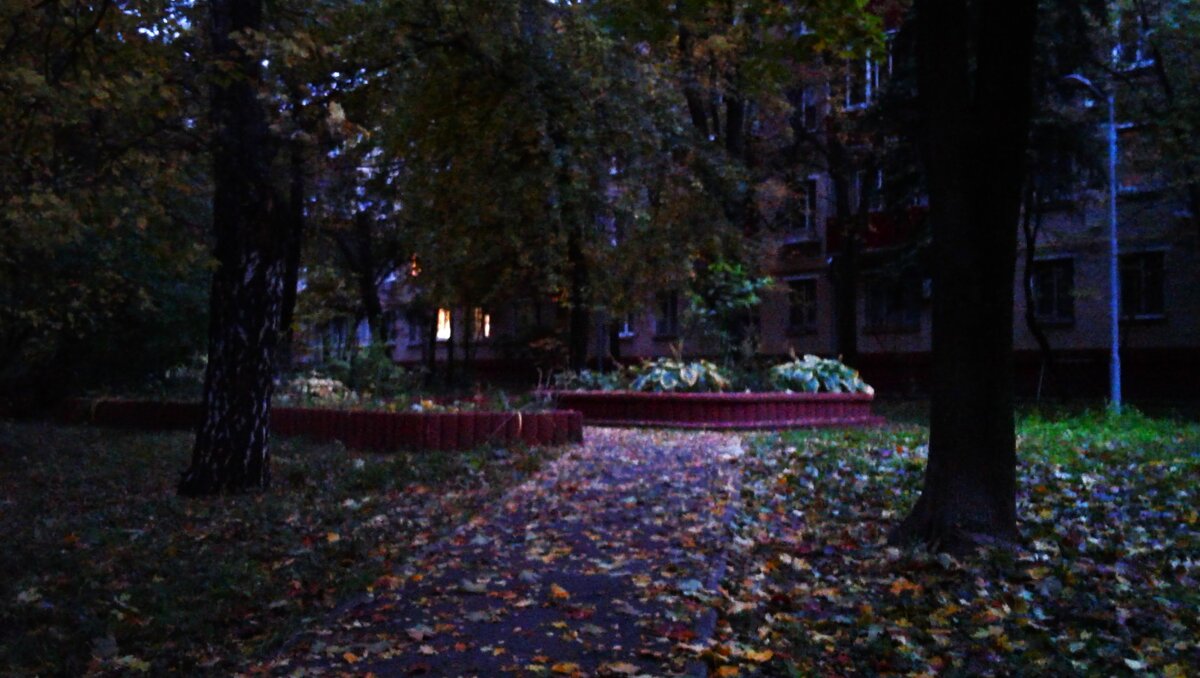 Октябрьское утро. - Василий Палий